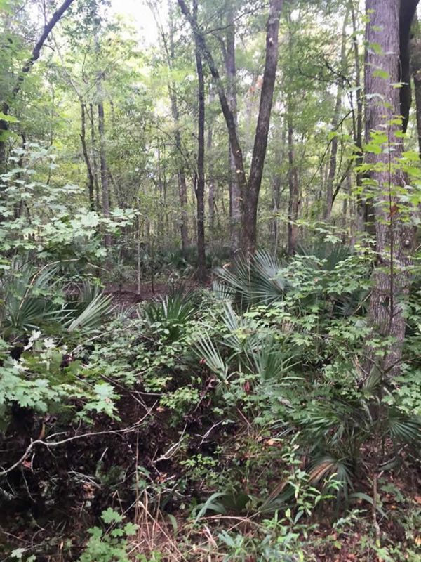 Our Agents Timberland, Farm Land and Real Estate Barrow